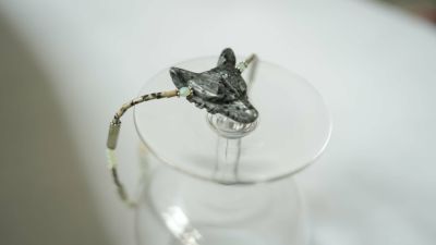 アクセサリー rippmonster ALL | rippmonster